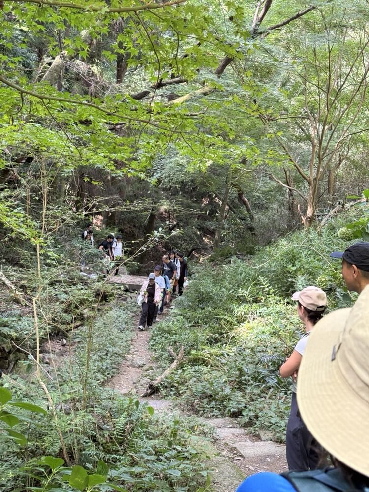 A group of guests hiking a forest trail with the guide